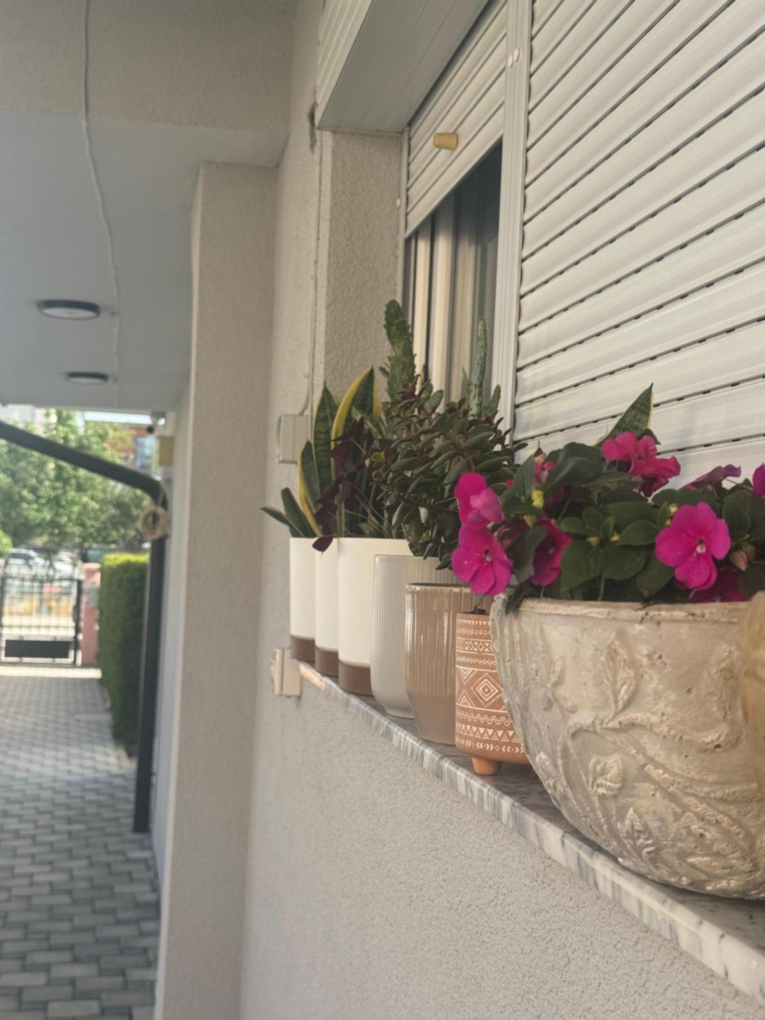 Vila Bolonja Struga Exterior photo