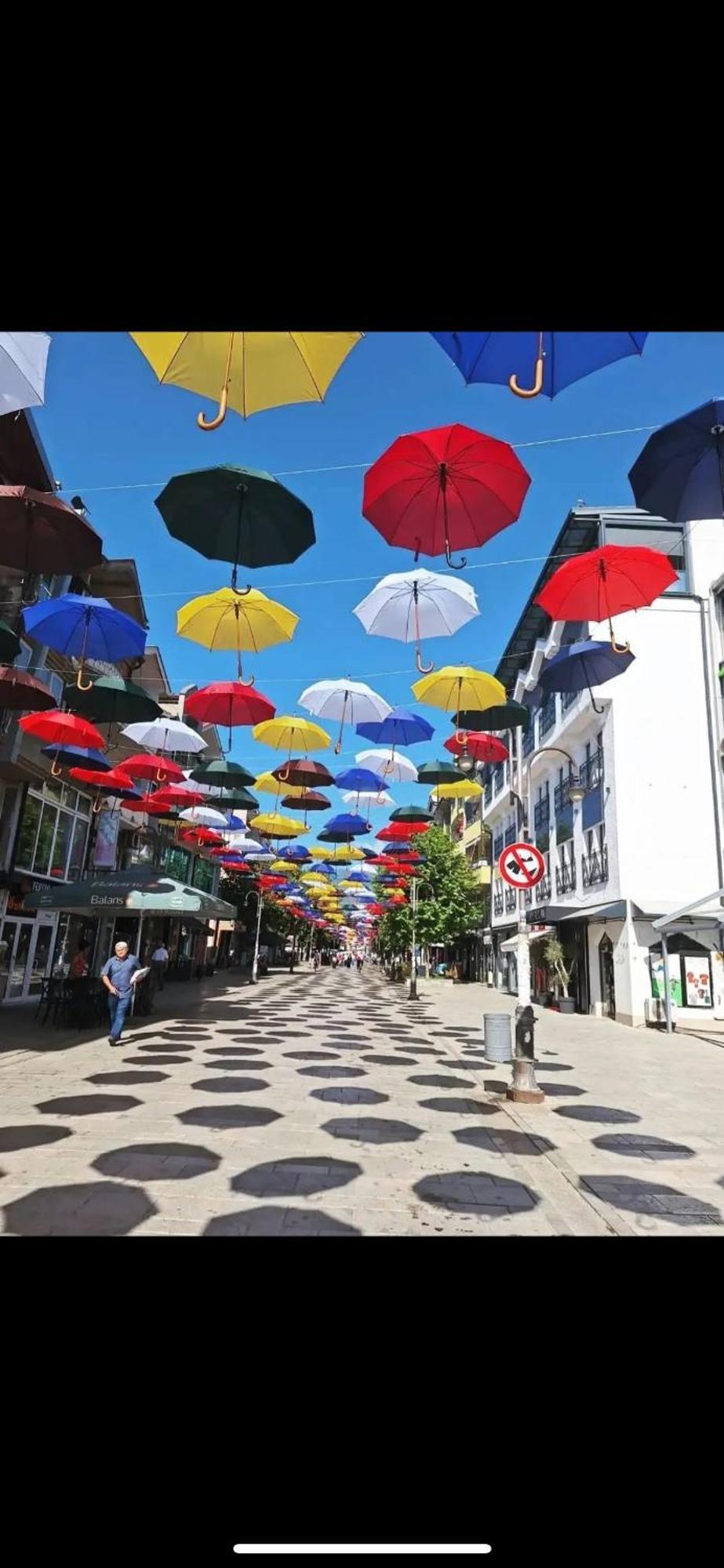 Vila Bolonja Struga Exterior photo